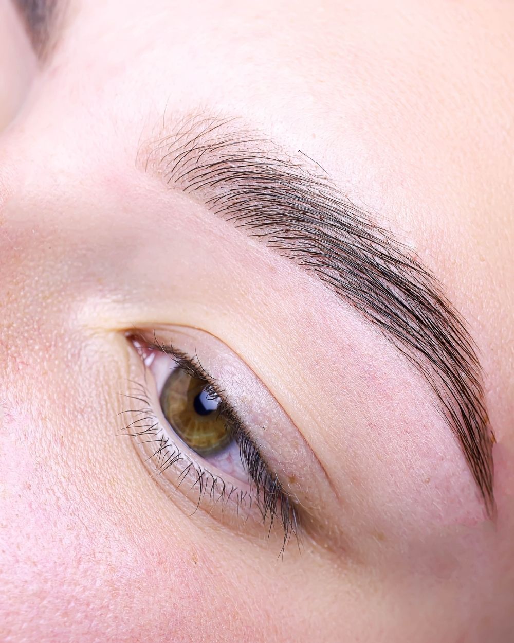 Powderbrows